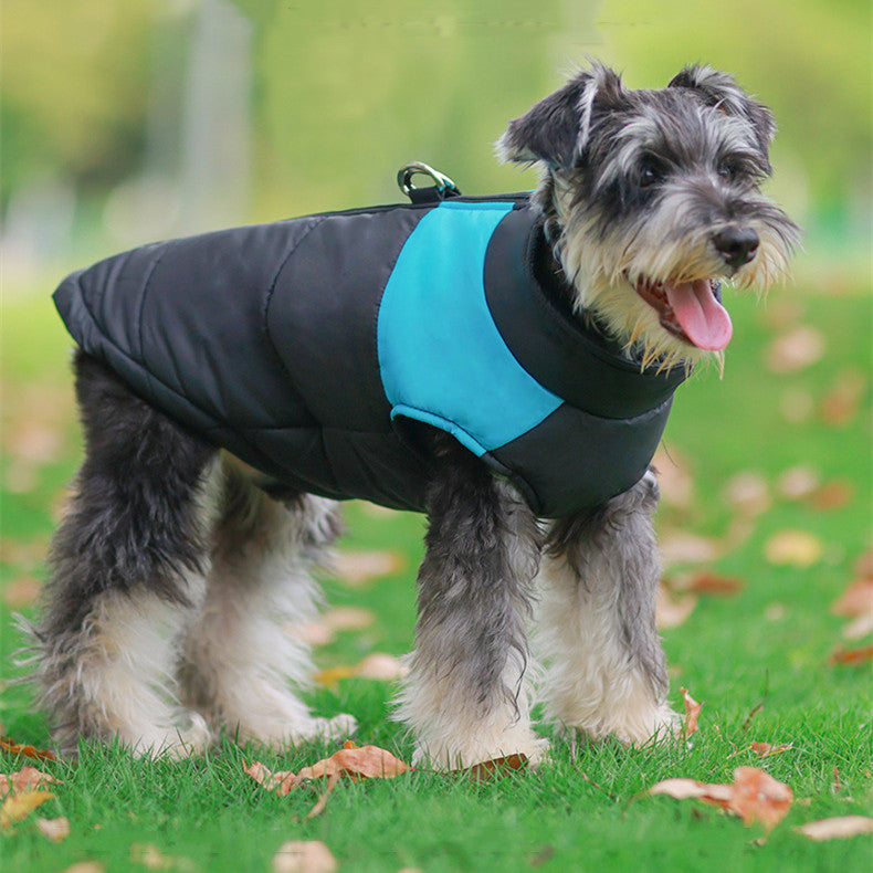 vancityDOG´s - Winter Pulover