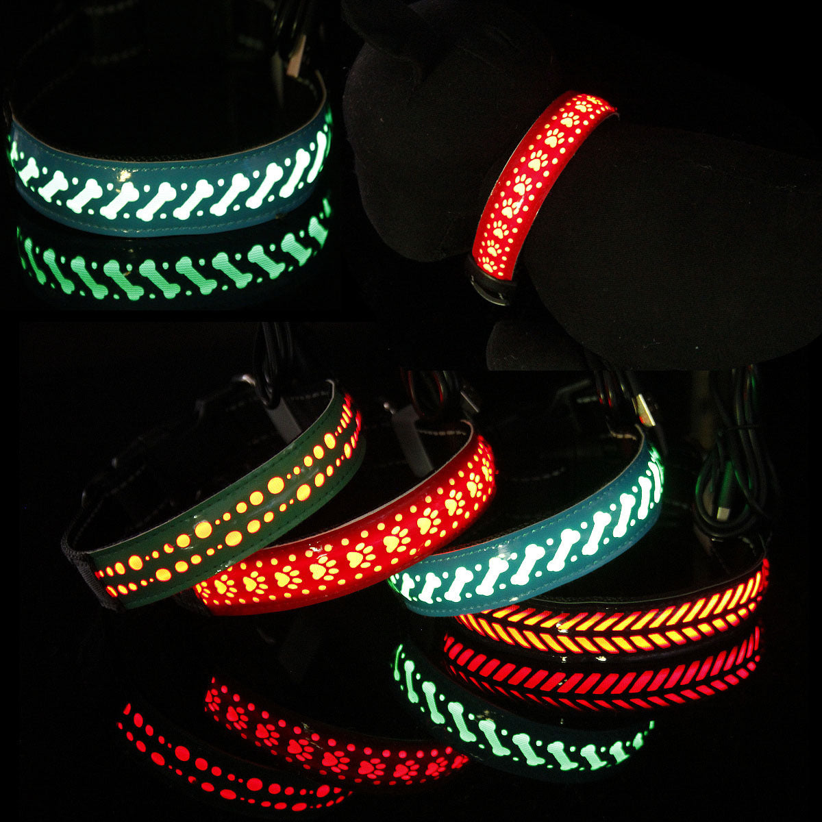 vancityDOG´s - LED Lederhalsband