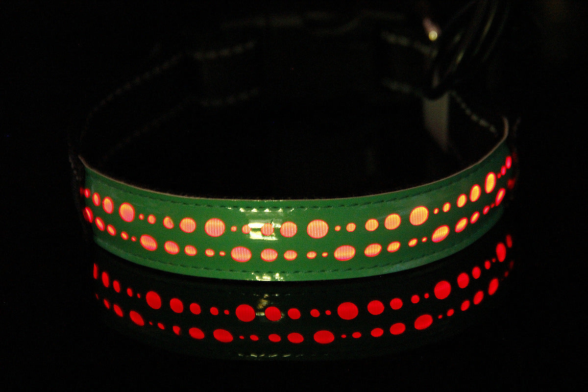 vancityDOG´s - LED Lederhalsband