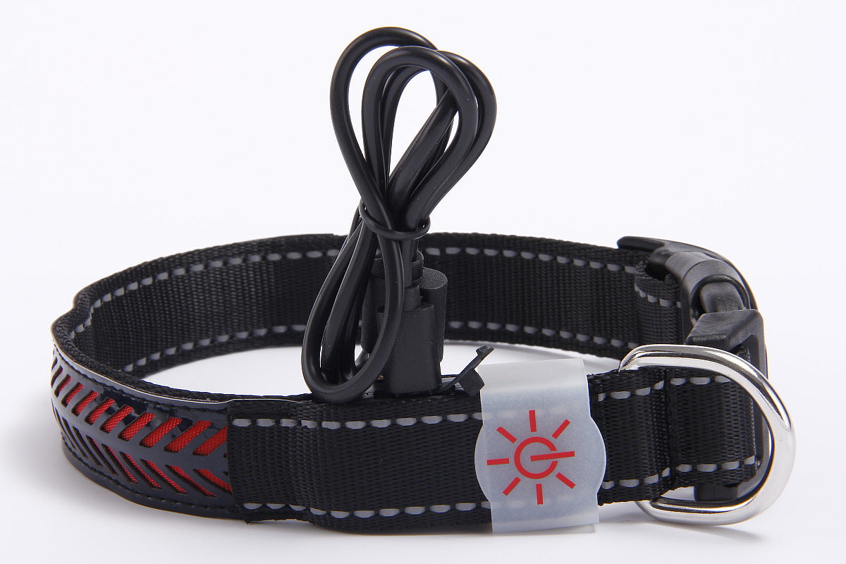 vancityDOG´s - LED Lederhalsband