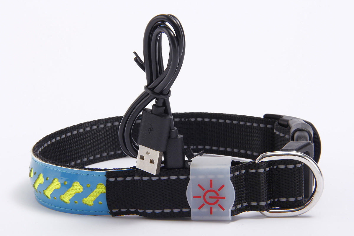 vancityDOG´s - LED Lederhalsband