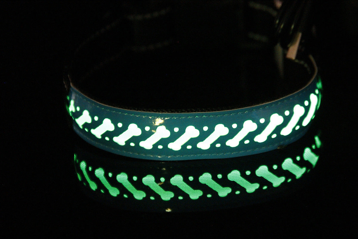 vancityDOG´s - LED Lederhalsband