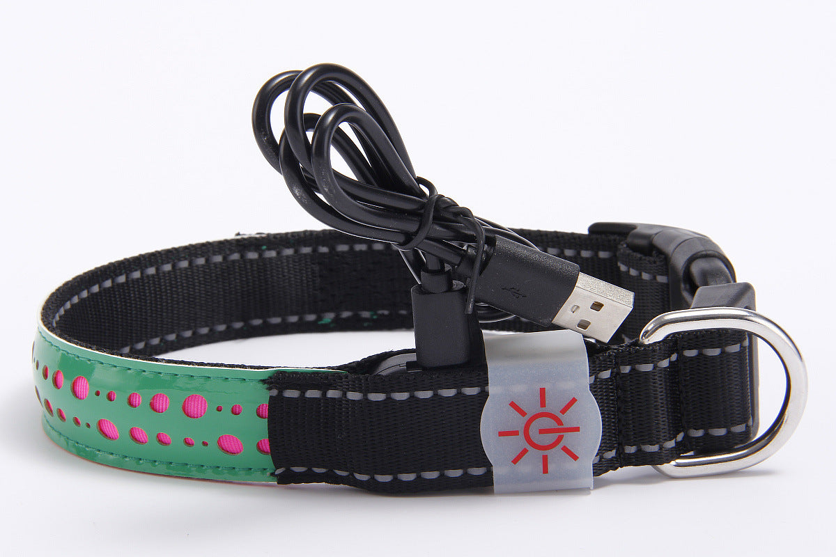 vancityDOG´s - LED Lederhalsband