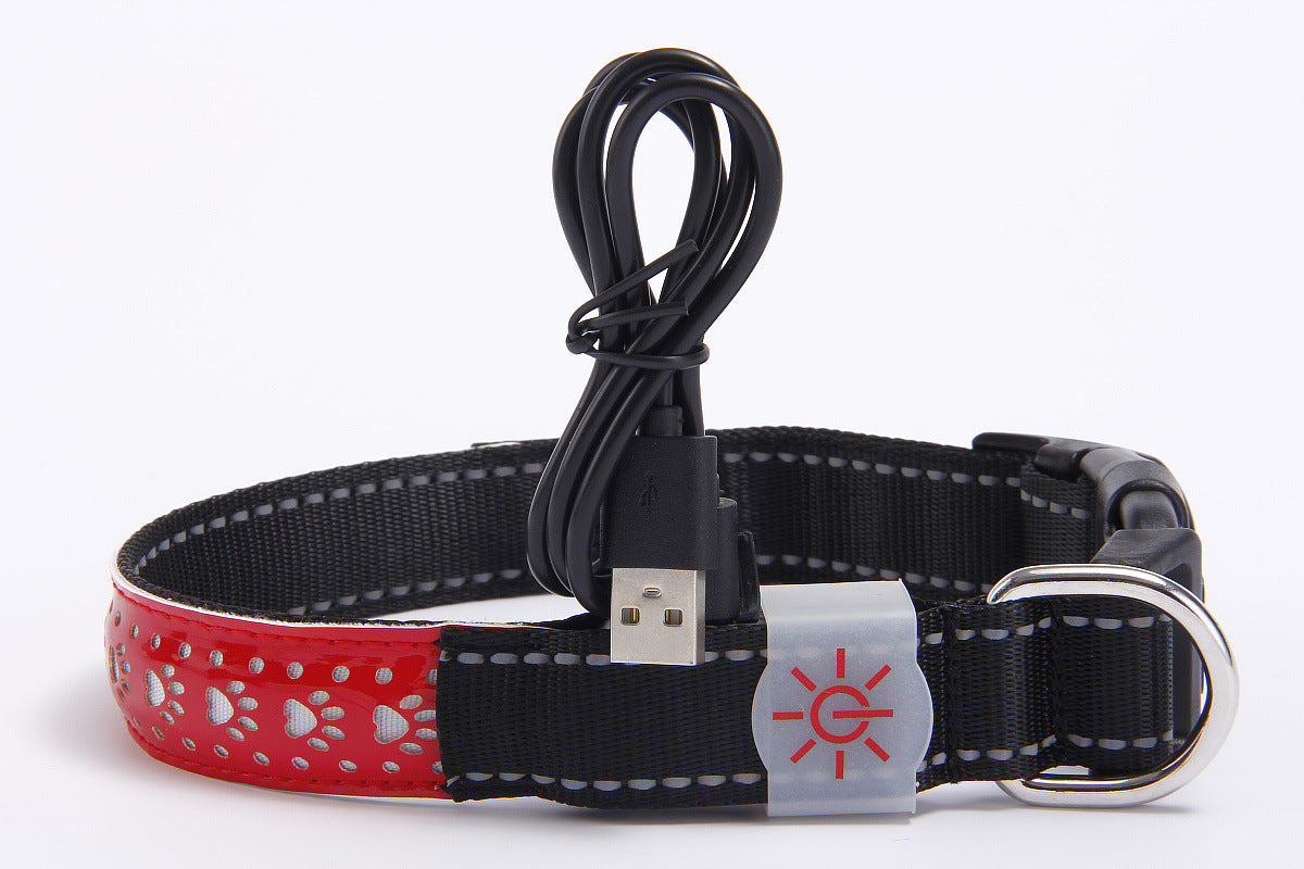 vancityDOG´s - LED Lederhalsband