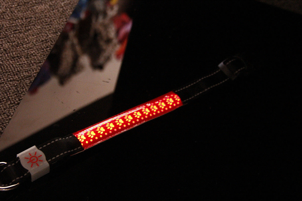 vancityDOG´s - LED Lederhalsband